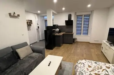Cuisine ou kitchenette dans l'établissement Joli Studio