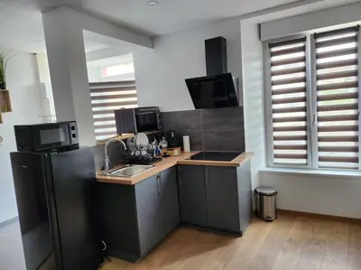 Cuisine ou kitchenette dans l'établissement Joli Studio