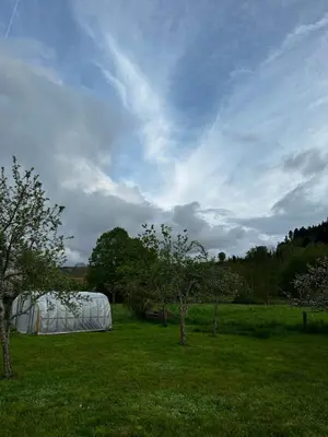 Paysage naturel près de l'appartement