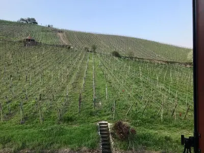 Paysage naturel près de l'appartement