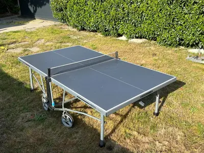 Tennis de table au sein de l'établissement Gîte proche Colmar vignoble ou à proximité