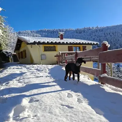 Maison de montagne vue magnifique