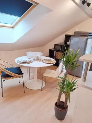 Cuisine ou kitchenette dans l'établissement STUDIO TERRASSE