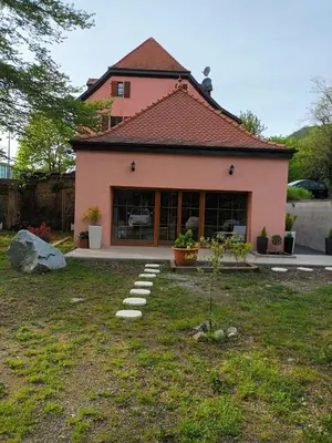 Jardin de l'établissement Magic Valley