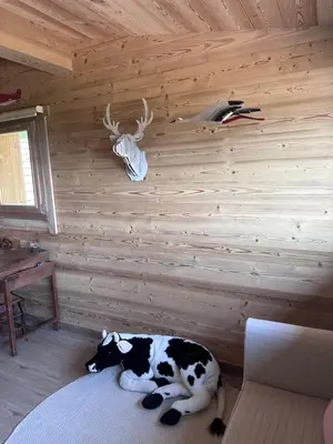 Plan de l'établissement Chalet La Petite Ourse