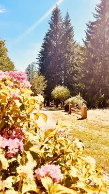 Jardin de l'établissement Domaine du Pré-Saint-Georges