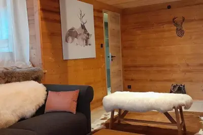 Coin salon dans l'établissement RELAX CHALET Nature Retreat - isolé sur 3 hectares - confort de LUXE - maison entière 150m2 - près de La Bresse