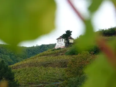 Paysage naturel près de la maison d'hôtes