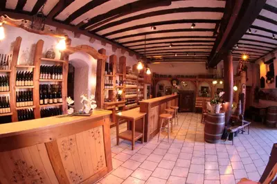 Salon ou bar de l'établissement Domaine Jean Sipp