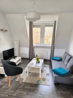 Coin salon dans l'établissement Appartement Cosy à Colmar