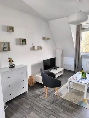 Télévision ou salle de divertissement dans l'établissement Appartement Cosy à Colmar