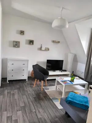 Télévision ou salle de divertissement dans l'établissement Appartement Cosy à Colmar