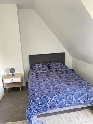 Un ou plusieurs lits dans un hébergement de l'établissement Appartement Cosy à Colmar