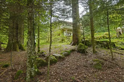 Paysage naturel près de l'appartement