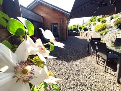 Jardin de l'établissement La Salixienne maison 6/7 pers