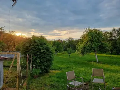Jardin de l'établissement Domaine La Bonne Dame - Hirondelle, au coeur des Vosges