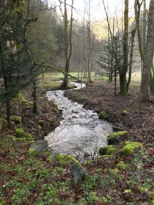 Paysage naturel près de l'appartement