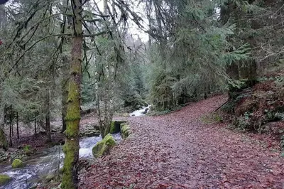 Paysage naturel près de l'appartement