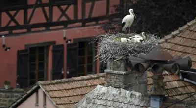 Plan de l'établissement Le gîte de Vitazensel