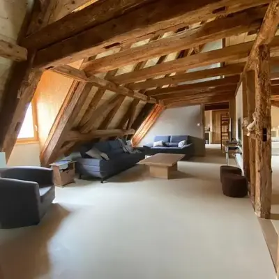 Maison de charme en Alsace - IN VINO VERITAS - 12 personnes