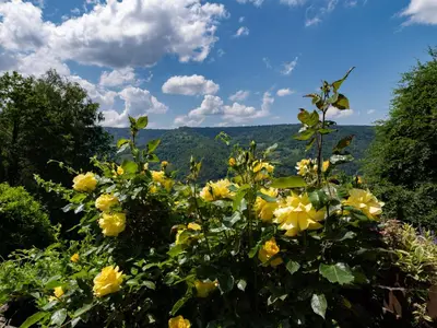 Paysage naturel près de la maison de vacances