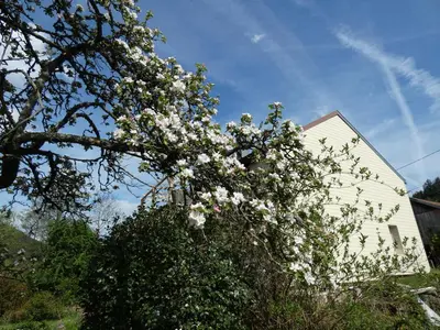 Jardin de l'établissement Au val des meuris