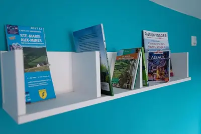 Bibliothèque dans l'appartement