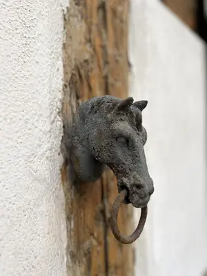 Animaux dans l'appartement ou à proximité