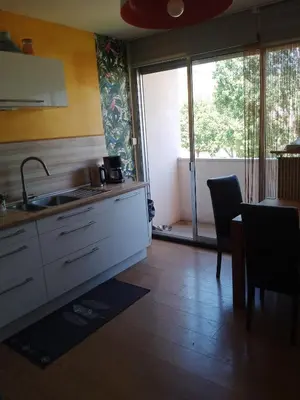 Cuisine ou kitchenette dans l'établissement Appartement avec balcon : Le Serenity