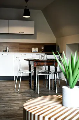 Cuisine ou kitchenette dans l'établissement Appartements de Manon au cœur des vignes