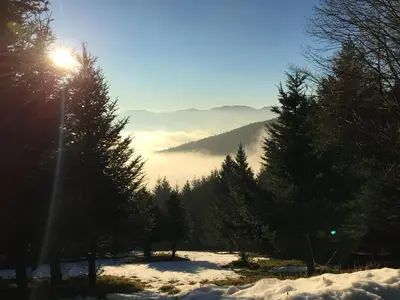 Paysage naturel près de la maison de vacances