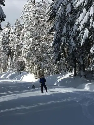 L'établissement Chamois Rouge en hiver
