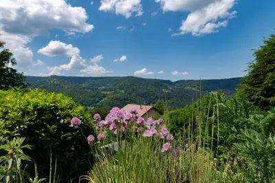 Paysage naturel près de le chalet