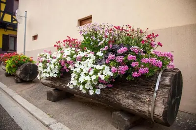 Jardin de l'établissement Gîte „La maison des épices“