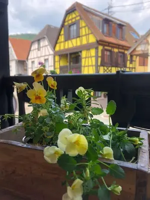 Balcon ou terrasse dans l'établissement Gîte „La maison des épices“