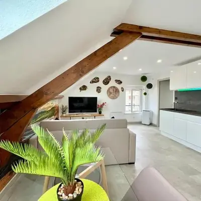 Natural Suite - Proche Gare - 4P