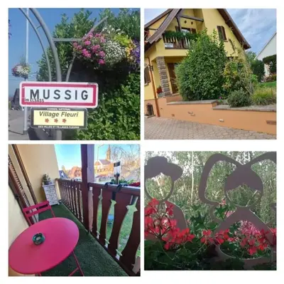 Jardin de l'établissement Le gîte du kirchfeld