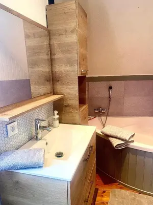 Salle de bains dans l'établissement Meublé de la Doller - Chalet au bord de l’eau