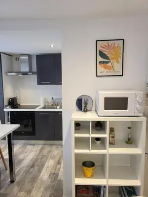 Cuisine ou kitchenette dans l'établissement Appartement avec terrasse entre vignes, balades, Alsace