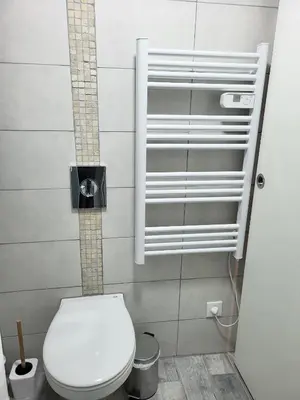 Salle de bains dans l'établissement Appartement avec terrasse entre vignes, balades, Alsace