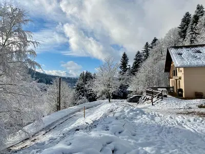 L'établissement Domaine des oiseaux en hiver