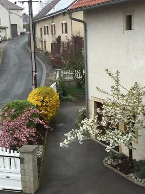 Jardin de l'établissement Appartement ravissant en bordure du Doubs
