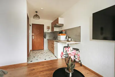 Cuisine ou kitchenette dans l'établissement Studio côté nature - trois épis de Turckheim