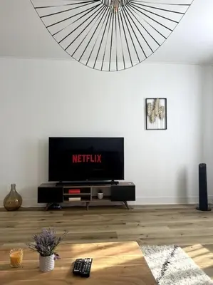 Télévision ou salle de divertissement dans l'établissement appartement cosy et lumineux avec parking gratuit