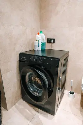 Plan de l'établissement Grand appartement rez de jardin