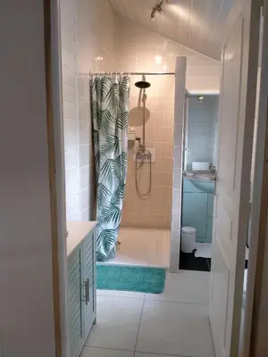 Salle de bains dans l'établissement Maison de ville avec jardin-Rêve à Rixheim!