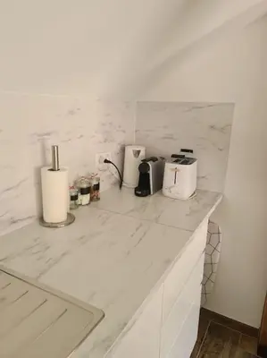 Cuisine ou kitchenette dans l'établissement Appartement Proche Aéroport Bâle/Mulhouse