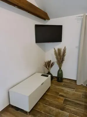Télévision ou salle de divertissement dans l'établissement Appartement Proche Aéroport Bâle/Mulhouse