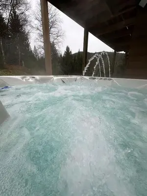 Piscine de l'établissement Jardin de l'ancienne école avec Jacuzzi privé ou située à proximité