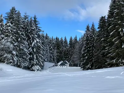 L'établissement L'Orpin Givré - Chalet Limoselle avec grande mezzanine en hiver